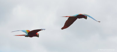 like airplanes