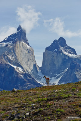 TORRES DEL PAINE (Chile)