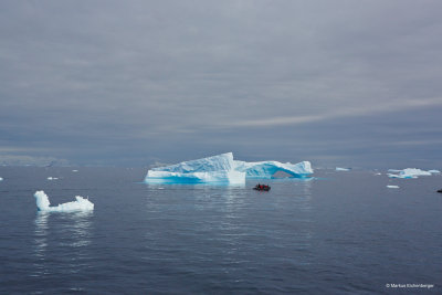 the icebergs were everywhere