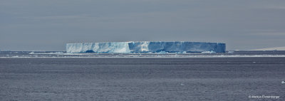 with amazing icebergs