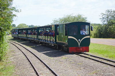 a nostalgia train is used as transportation
