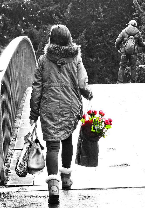 Red Roses for her Valentine