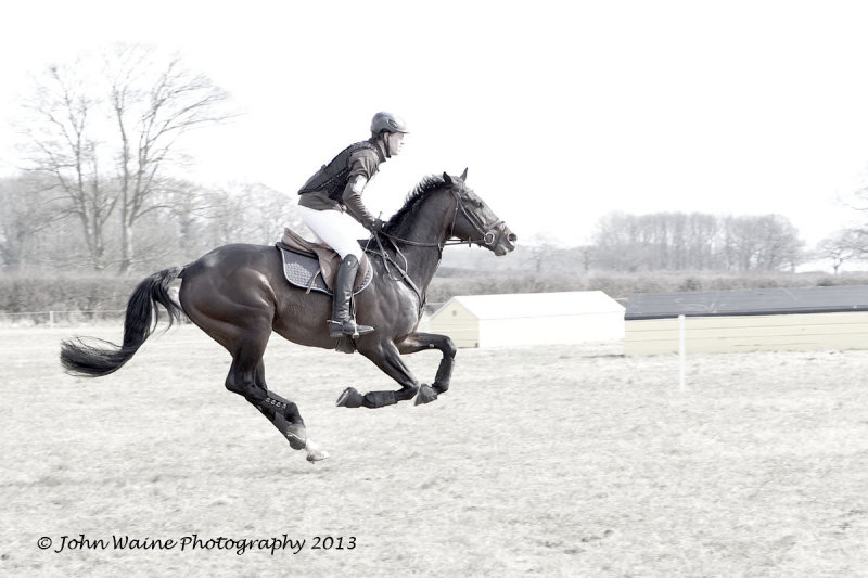 IMG_6041 copy.jpg