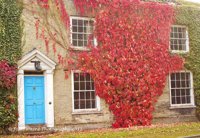 Blue Door, Red Leaves