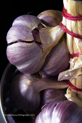 Garlic Bulbs