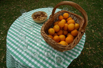 PICT0178.JPG