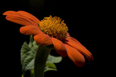 _MG_5689.jpg