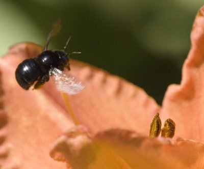 _MG_5804.jpg