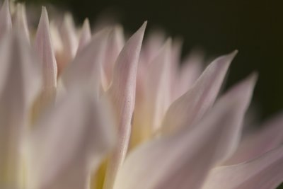 _MG_6809.jpg