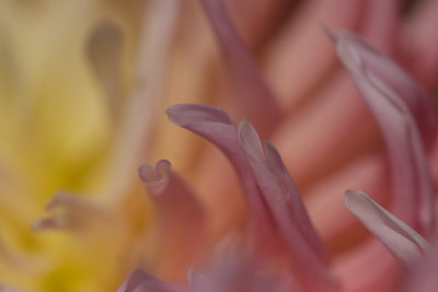 _MG_6878.jpg