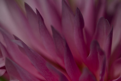 _MG_6943.jpg