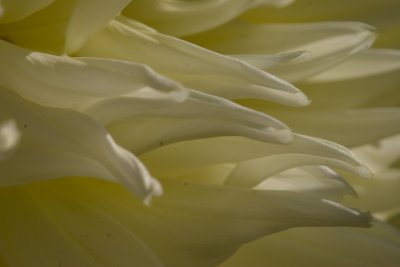_MG_7159.jpg
