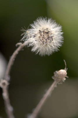 _MG_7369.jpg