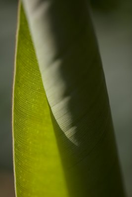 _MG_8709.jpg