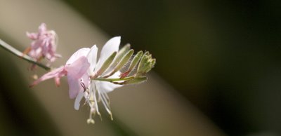 _MG_9163.jpg