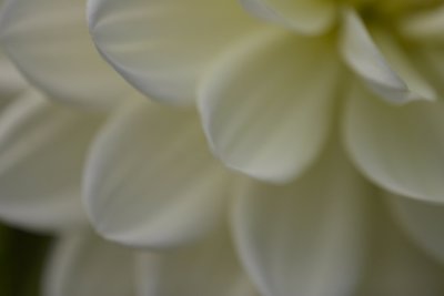 _MG_0001.jpg