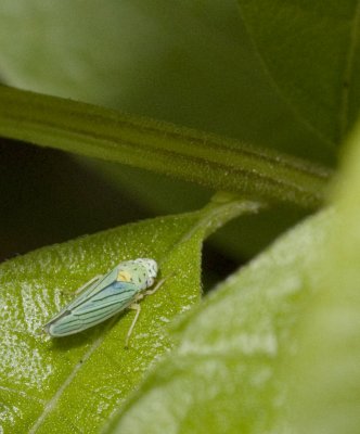 _MG_0148.jpg