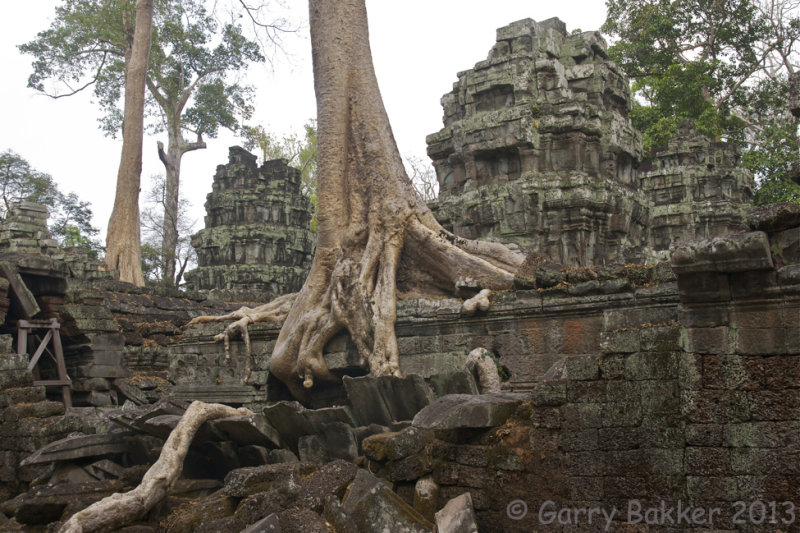 Ta Prohm [1/9]