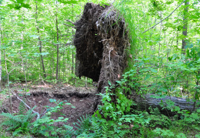 Storm Damage 07-07-12