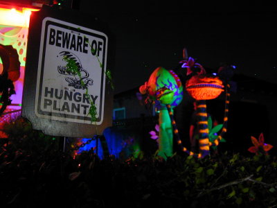 Beware of Plants