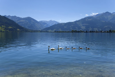 Zeller See - Austria