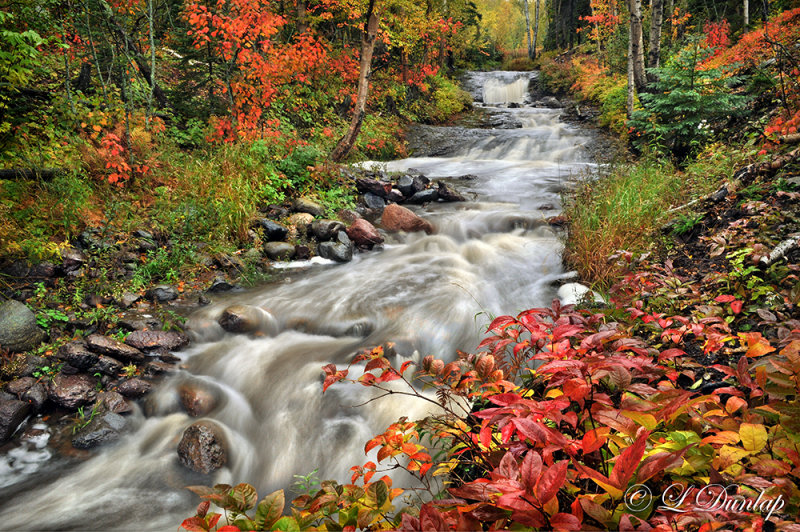 ** 76 - Schroeder: Last Creek, Horizontal