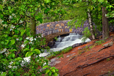 ** 3.1 - Duluth Parks:  Kingsbury Creek Bridge With Apple Tree