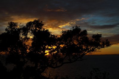 dawn in Whangaparaoa II