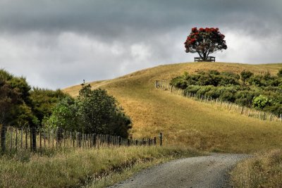 Shakespear Regional Park, Whangaparaoa