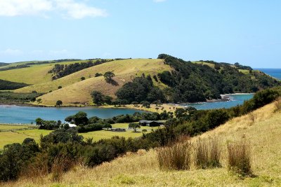 Tawharanui Regional Park - part of the park