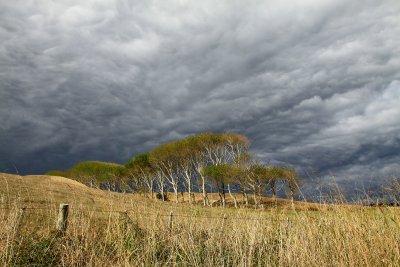 Stormy sky... but only a few spits of rain.