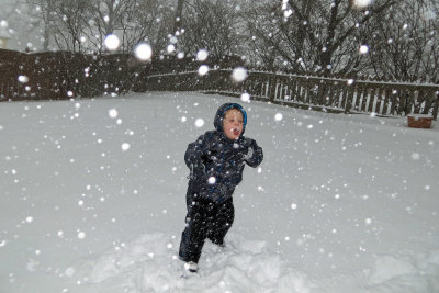 Daddy gave in to my incessant requests to go outside, even though it was still snowing.   IMG_0265c.jpg