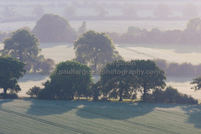 Pictures taken around Hertfordshire in 2012