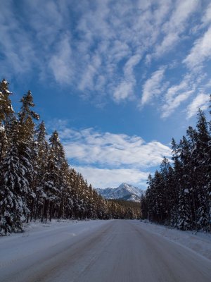 Bow Valley Parkway