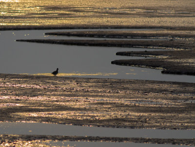 Snettisham, Norfolk