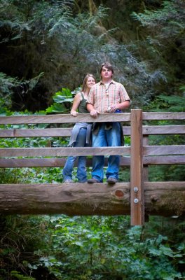 Along the trail to Marymere Falls in Olympic National Park