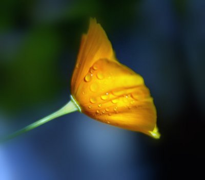 g2/95/201995/3/66309862.gRc1UpXN.jpg