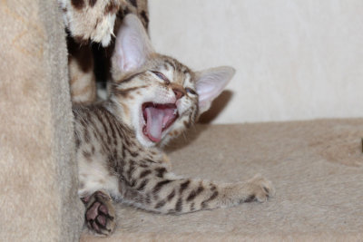 Yaaawn, time to do some modelling!