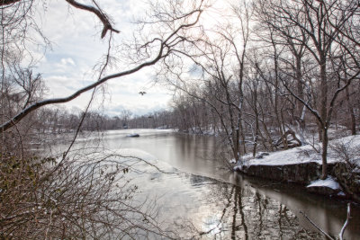 330, Larchmont Reservoir