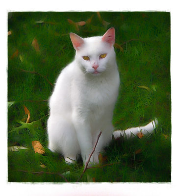 Snowball