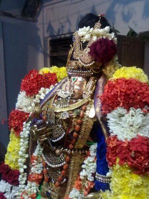 Thiruvekka sri Poigai Azwar Varushothsavam - Day2