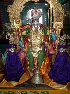 Thiru pachaivannan Navarathiri Uthsavam - Day8 