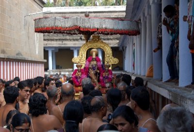 Perumal Kovil Sri Perarulalan Rathnangi Sevai & Sri Thatha Desikan Satrumurai 