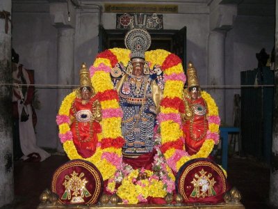 Sri Vijayaragavan Muthangi Sevai - Vaikunda Ekadasi - Thiruputkuzhi 