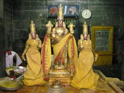 Thirupputkuzhi Sri Vijayaragavaswamy Brahmothsavam - Day8 - Thiru Patham Jadi Thirumanjanam