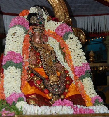 : Sri Perundevi Thayar Sri Perarulalan Dhavana Uthsavam