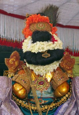 Sri Perundevi Thayar Sri Perarulalan Dhavana Uthsavam - Day3 Morning Purappadu