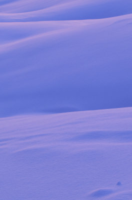 g2/95/360795/3/148930465.FMK3Dpxv.jpg
