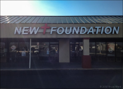 Newt Foundation