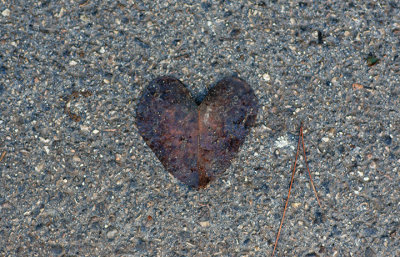 A lovely leave only